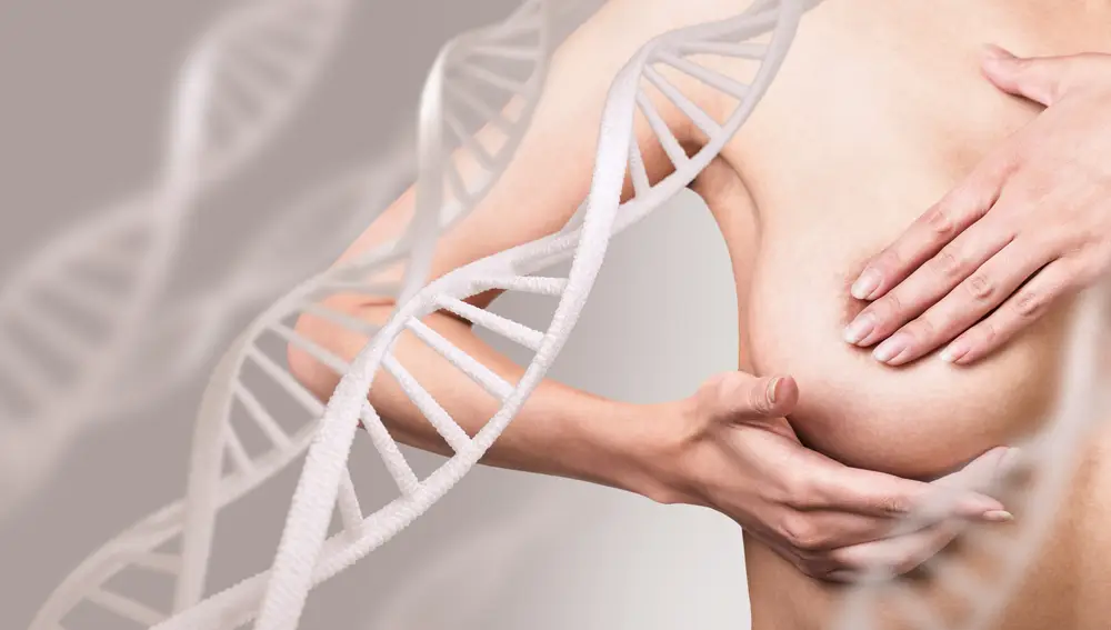 La mejor noticia de 2022 vino de la mano de un anticuerpo inmunoconjugado que dirige la quimioterapia de una forma mucho más precisa