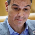 El presidente del Gobierno, Pedro Sánchez