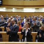 El presidente del PP, Alberto Núñez Feijóo, aplaudido ayer por los populares en el Senado