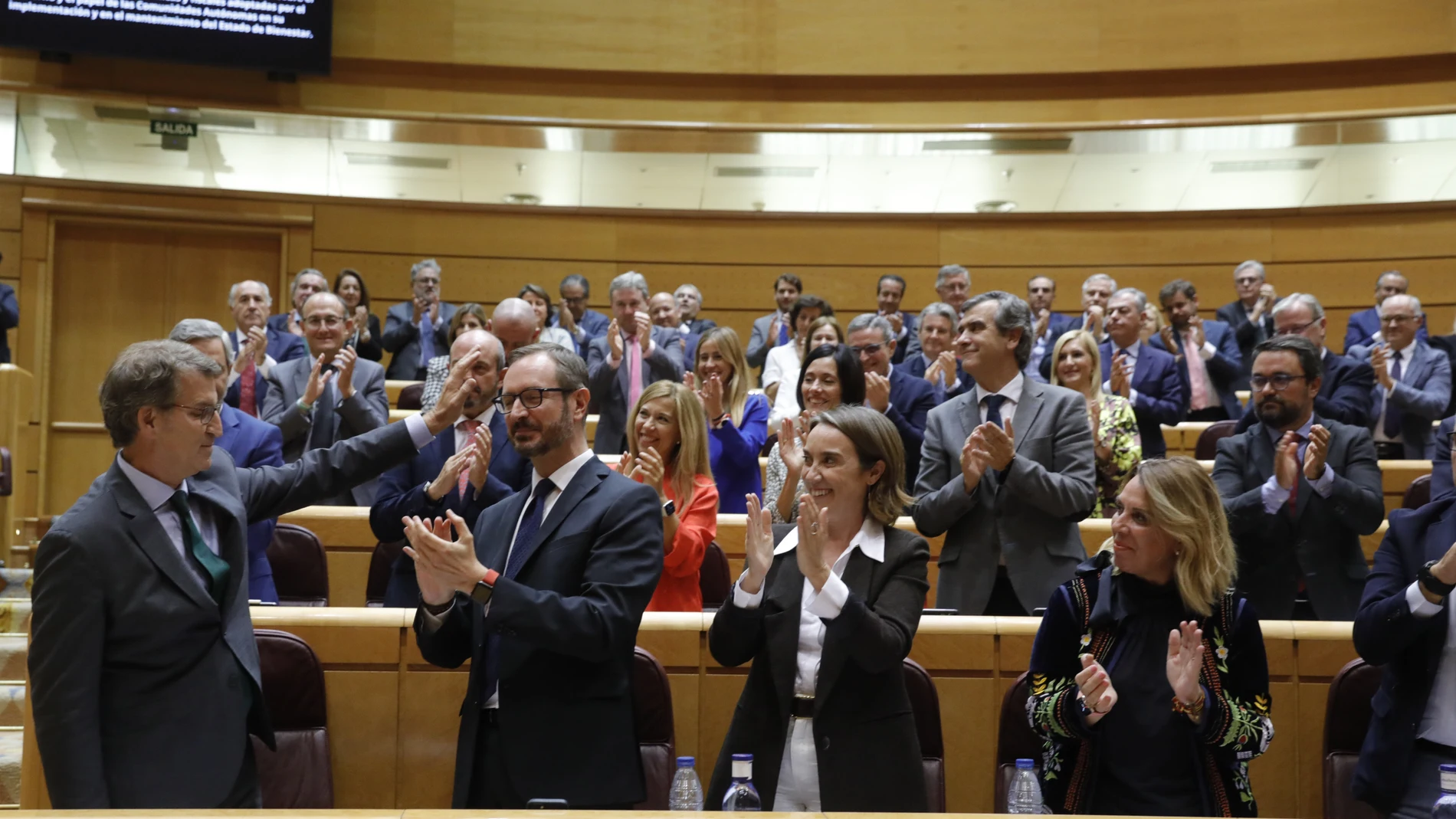 El presidente del PP, Alberto Núñez Feijóo, aplaudido ayer por los populares en el Senado
