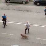Así han reducido varios agentes de la Policía Local al agresor