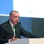 El presidente turco, Recep Tayyip Erdogan