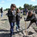 Se han plantado 2.500 árboles, uno por cada vehículo eléctrico vendido