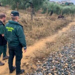 Dos agentes de la Guardia Civil ayudados por un perro especializado rastrean la zona cercana a la vía del tren en Villanueva del Río y Minas (Sevilla). EFE/Fermín Cabanillas