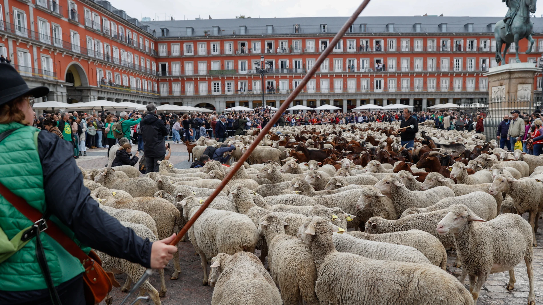 ¿Qué es la trashumancia y por qué se celebra en España? Origen y tradiciones