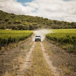 Experiencia visita a la finca de Abadía Retuerta