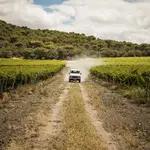 Experiencia visita a la finca de Abadía Retuerta