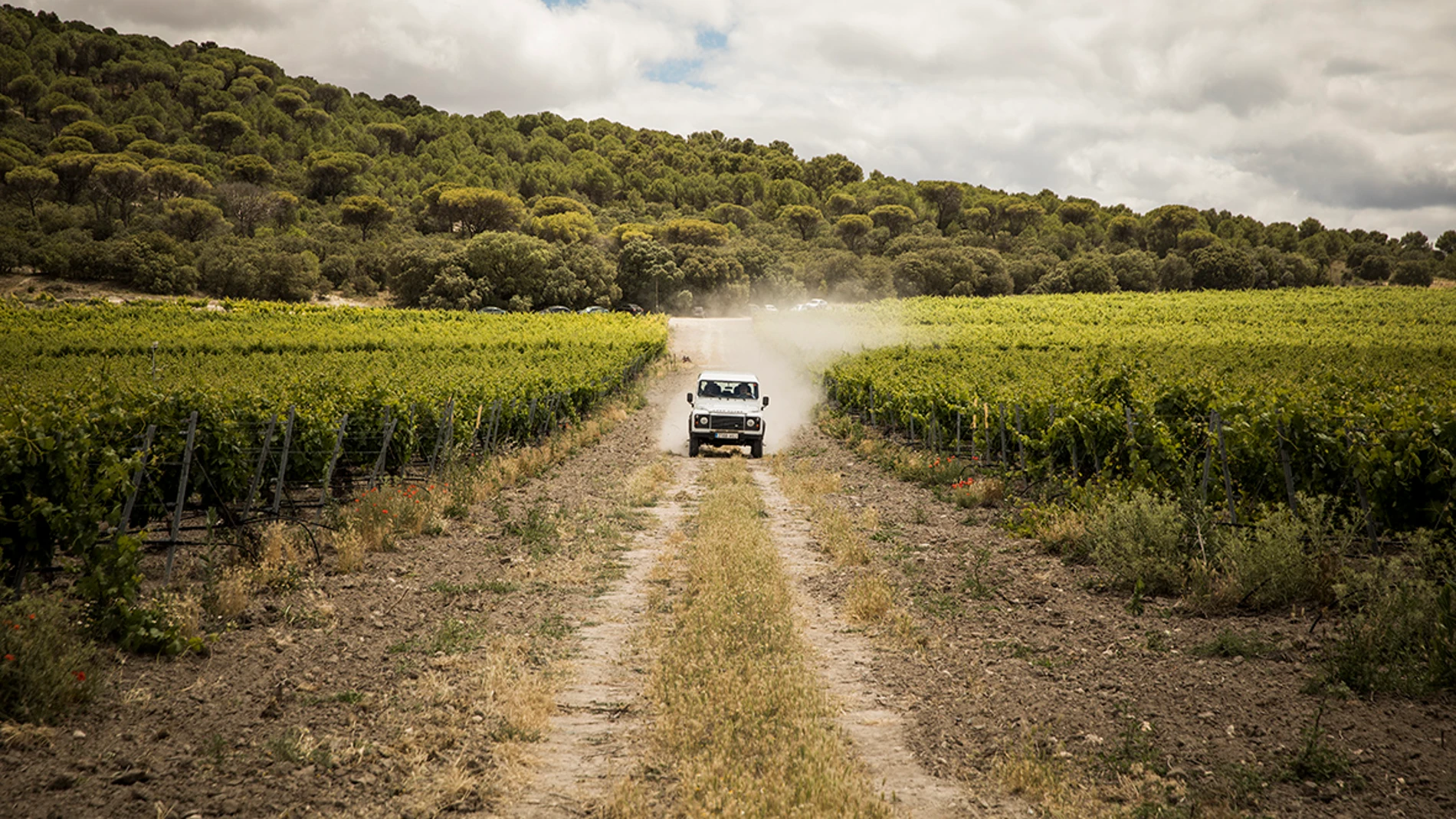 Experiencia visita a la finca de Abadía Retuerta