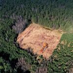 Incendios, deforestación creciente y el desentendimiento de los políticos con el medio natural ponen en peligro la biodiversidad y conservación de la selva del Amazonas, esencial para la estabilidad climática del planeta