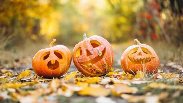 La variedad más utilizada para adornar en la noche de Halloween es la "etample" | Fuente: Dreamstime / gadgemyur
