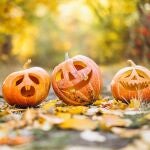 La variedad más utilizada para adornar en la noche de Halloween es la "etample" | Fuente: Dreamstime / gadgemyur