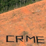 Según WWF, en una década, 43 millones de hectáreas (dos veces el Reino Unido) se han perdido por la deforestación. Las tasas más rápidas ocurren en el Amazonas brasileño
