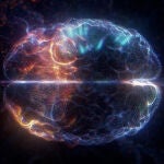 Cerebro