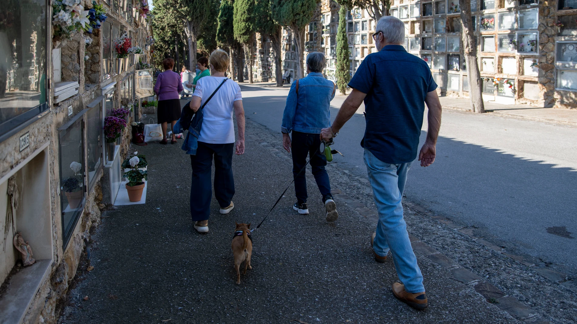 Varias personas pasean en el cementerio de Montjuïc con motivo del Día de Todos los Santos aún en manga corta