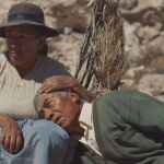 "Utama", de Alejandro Loayza Grisi, ya en cines