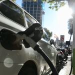 Las principales marcas han bajado su producción