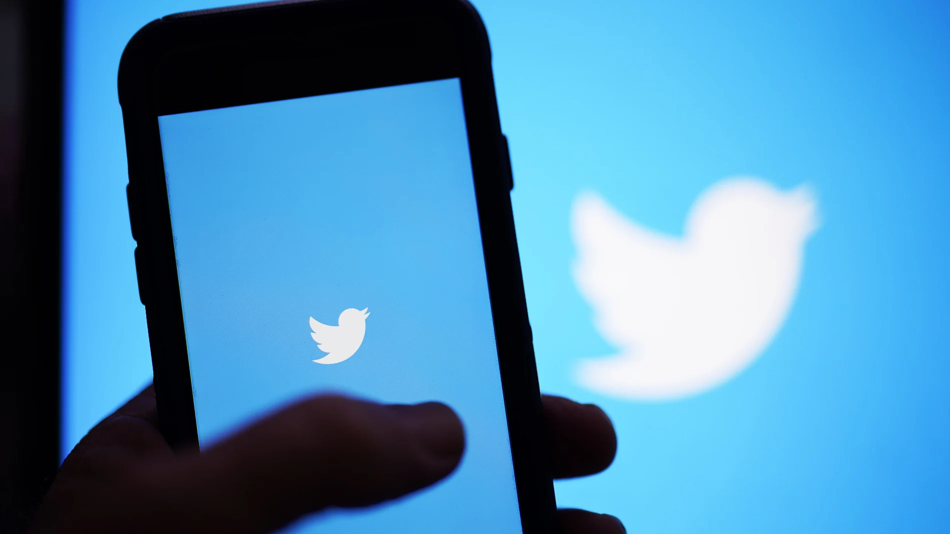 Imagen del logo de Twitter