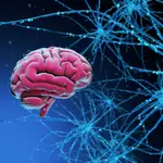 Nuevos medicamentos para la esclerosis múltiple