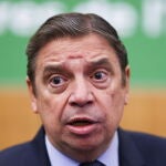 Luis Planas, ministro de Agricultura