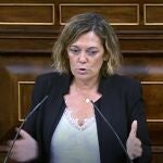 La diputada popular, Milagros Marcos, interviene en el Congreso