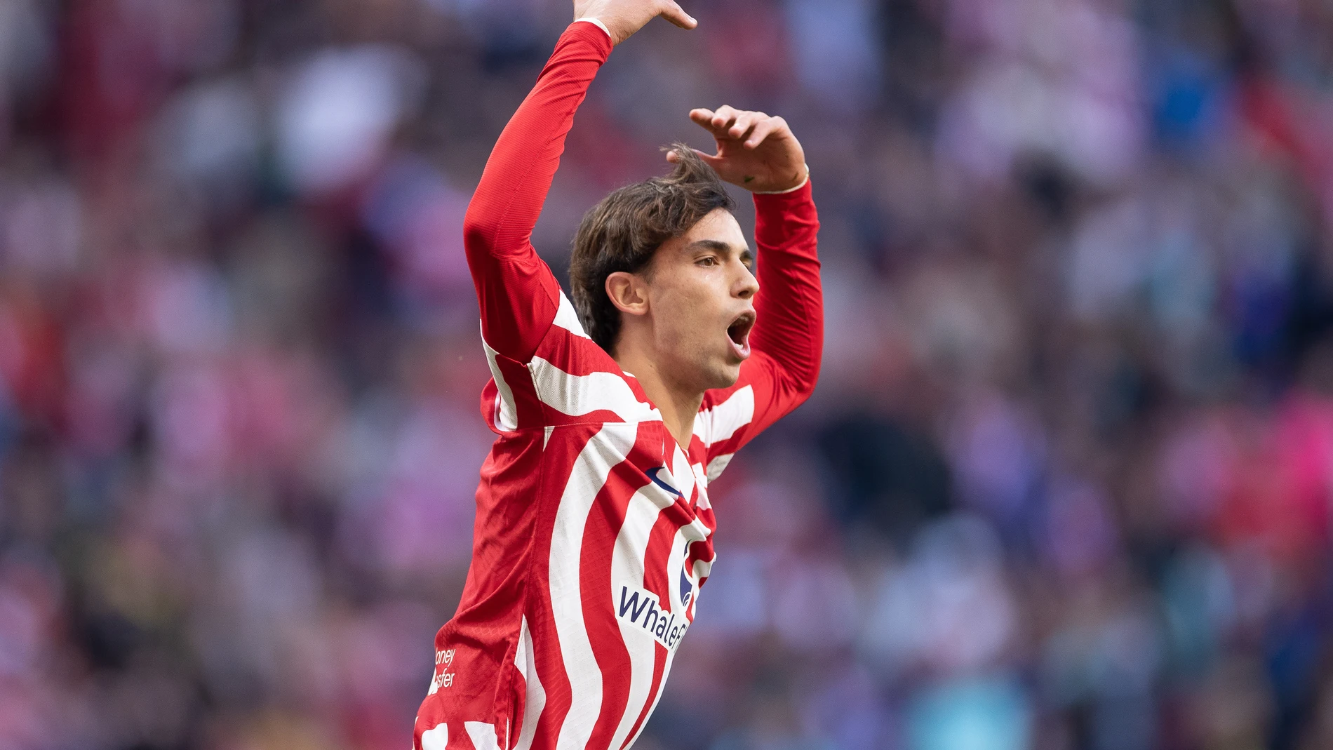 Joao Félix marcó el empate y pidió el apoyo de la afición del Metropolitano