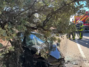 Impacto de un coche contra un árbol en un accidente de carretera en Campo Real Impacto de un coche contra un árbol en un accidente de carretera en Campo Real