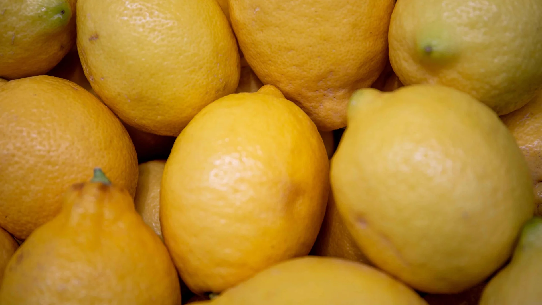 Limones