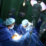 Qué es la ‘Candida parapsilosis’, el hongo que se extiende en hospitales españoles