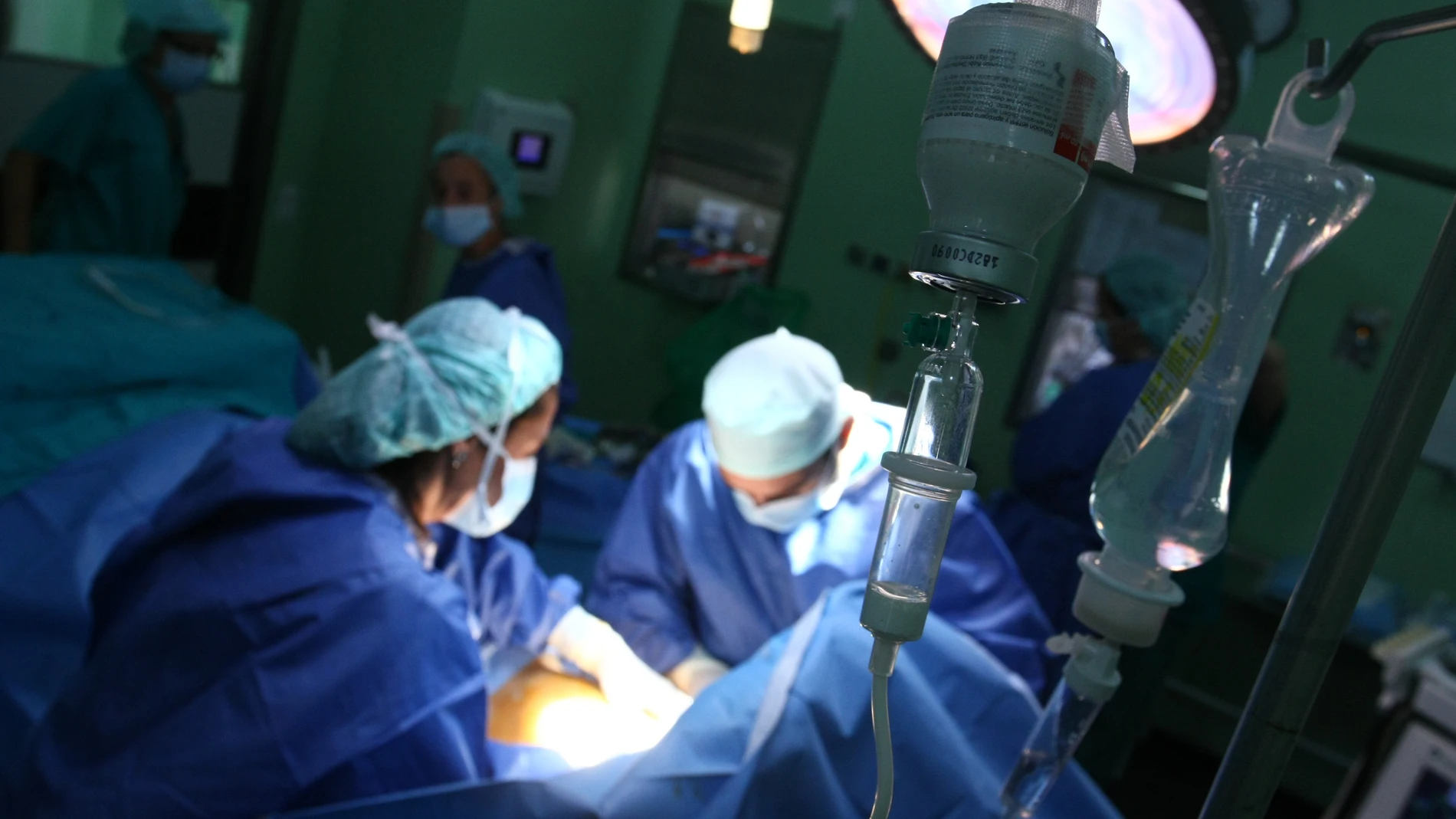 Qué es la ‘Candida parapsilosis’, el hongo que se extiende en hospitales españoles