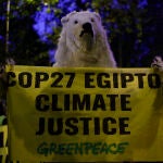 Decenas de personas participan en la manifestación convocada por Alianza Internacional en Madrid, en una 'acción global' ante el cambio climático, en coincidencia con la celebración en Egipto de la a COP27
