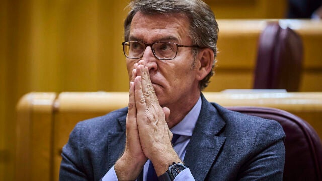 El líder del PP, Alberto Núñez Feijóo, durante su última comparecencia en la sesión de control al gobierno en el Senado