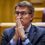 El líder del PP, Alberto Núñez Feijóo, durante su última comparecencia en la sesión de control al gobierno en el Senado