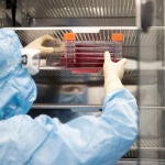 Detalle de la planta de producción de Takeda en Tres Cantos (Madrid) donde se produce esta nueva terapia