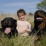 Niña con dos rottweilers
