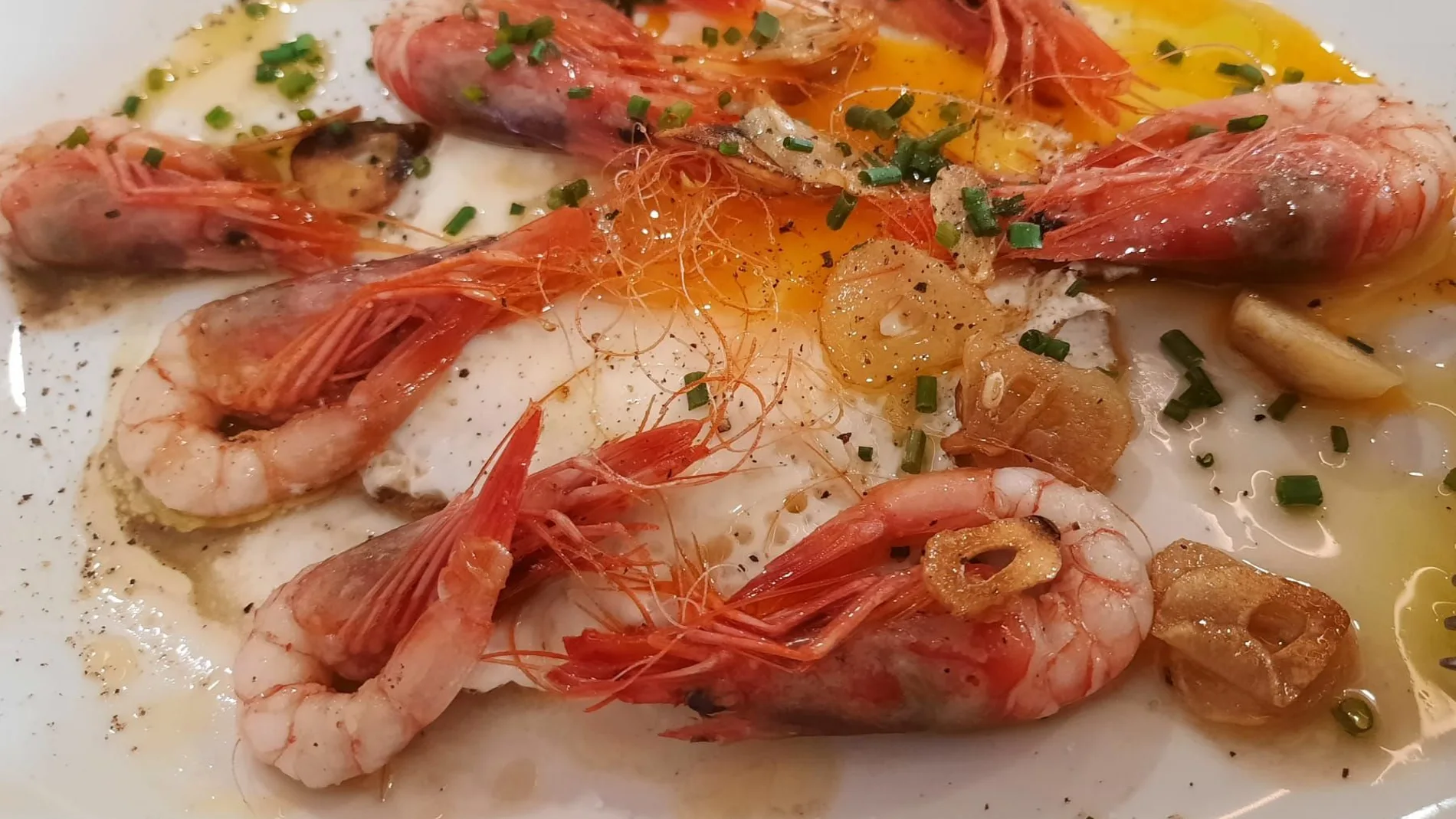 El comensal puede deleitarse con una gran selección de mariscos en La Barra de Kaymus