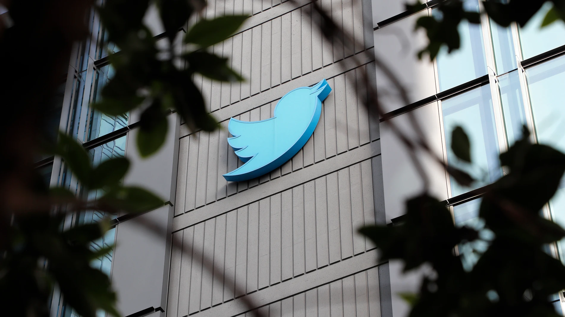 El logo de Twitter en la sede de la compañía en San Francisco. EFE/EPA/JOHN G. MABANGLO