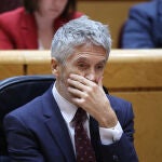 El ministro del Interior, Fernando Grande-Marlaska, en el pleno del Senado en Madrid el pasado martes. EFE/Kiko Huesca