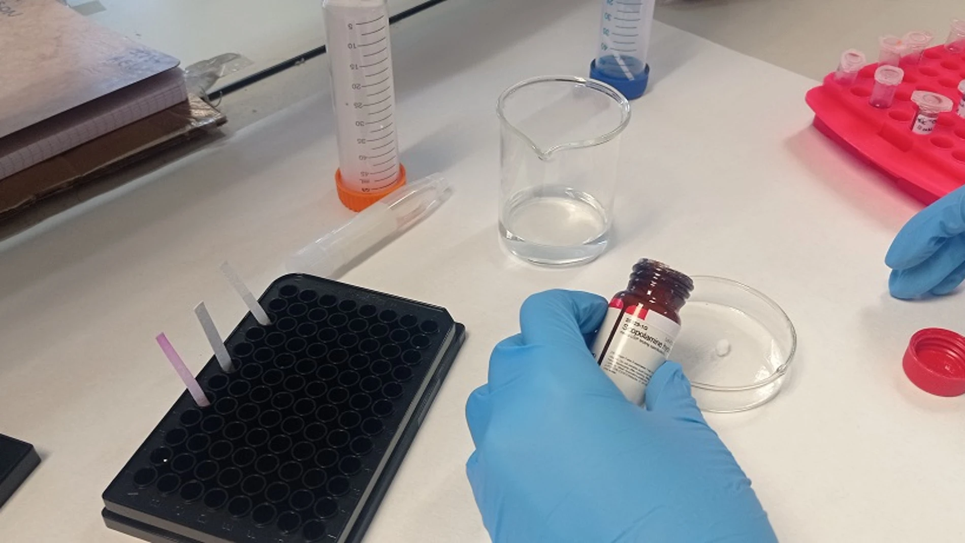 El test ha sido desarrollado por un equipo de la Universitat Politècnica de València, el Centro de Investigación Biomédica en Red de Bioingeniería, Biomateriales y Nanomedicina (CIBER-BBN) y el Instituto BAM de Berlín