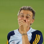 l seleccionador de España, Luis Enrique