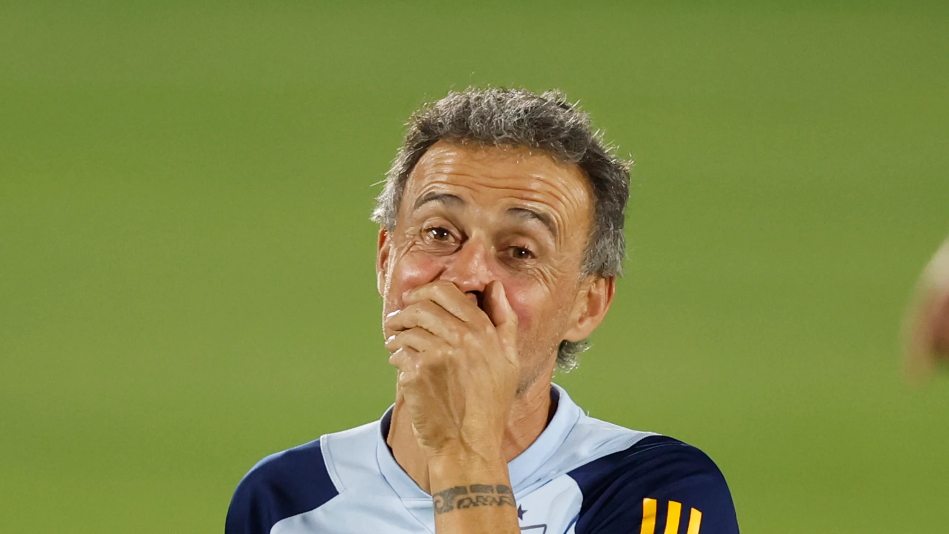 l seleccionador de España, Luis Enrique