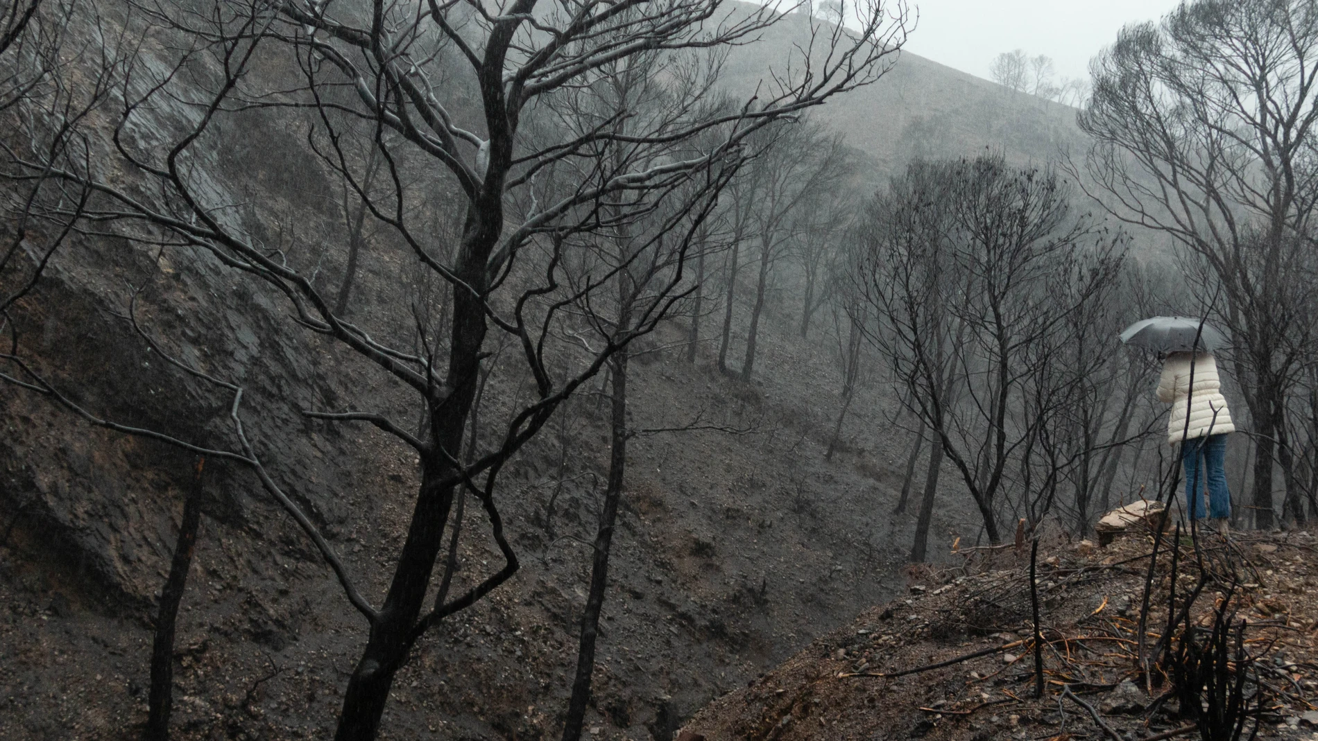 La Junta de Andalucía anunció recientemente el inicio de las obras de emergencia en la zona afectada por el incendio que tuvo lugar en septiembre en el paraje de Los Guájares (Granada), con una dotación de 3,5 millones