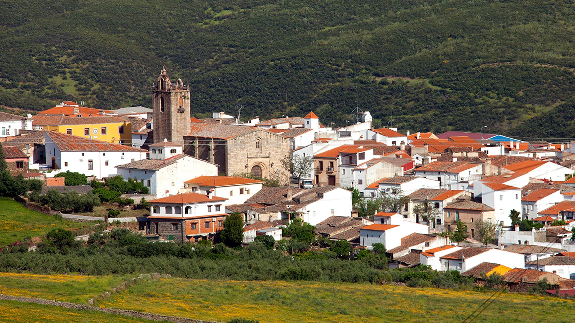 Cañaveral