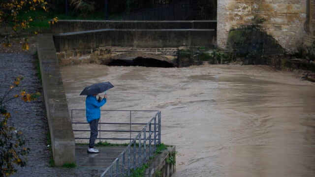 Una persona fotografía el estado en el que se encuentra el río Guadalquivir junto al Puente Romano en Córdoba. EFE/Salas