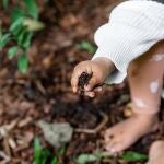 Re-Connecting Nature incorpora más de 600 especies bacterianas de origen forestal