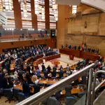 Vista general del hemiciclo durante el pleno de la Asamblea de Madrid este jueves. EFE/Javier Lizón