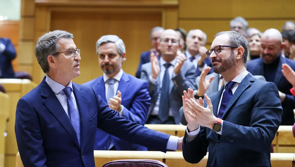 El líder del Partido Popular, Alberto Núñez Feijóo tras su intervención en el Senado.