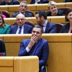 MADRID, 21/12/2022.- El presidente del Gobierno, Pedro Sánchez durante el pleno del Senado, este miércoles en Madrid . EFE/ Kiko Huesca