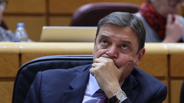 El ministro de Agricultura, Pesca, Alimentación y Medio Ambiente, Luis Planas