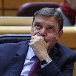 El ministro de Agricultura, Pesca, Alimentación y Medio Ambiente, Luis Planas