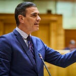 El presidente del Gobierno, Pedro Sánchez